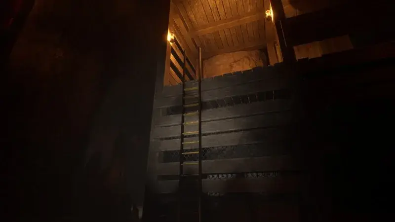 Wooden ladder leading to an illuminated upper cavern structure