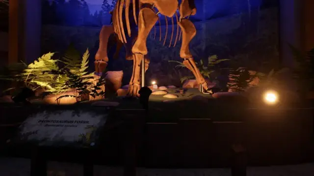 The feet of the reception Brontosaurus skeleton beside plants and a fossil display sign.